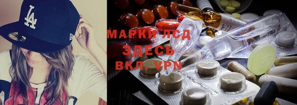 амф Алзамай