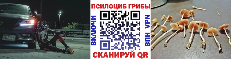 Псилоцибиновые грибы мицелий  Павловская 